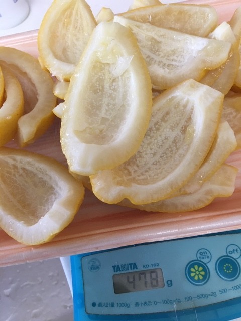 f:id:o-uiri:20200302164731j:plain