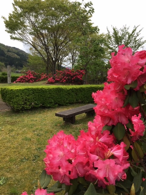 f:id:o-uiri:20200510140408j:plain f:id:o-uiri:20200510140408j:plain