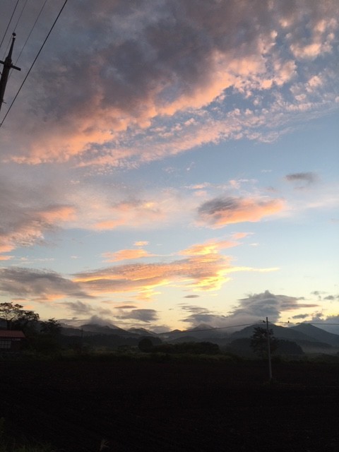 f:id:o-uiri:20200912054314j:plain f:id:o-uiri:20200912054314j:plain