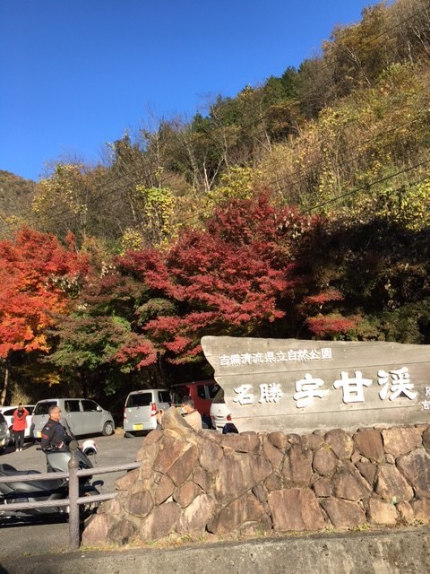 f:id:o-uiri:20201114144736j:plain