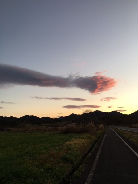 f:id:o-uiri:20201122064022j:plain