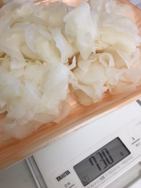 f:id:o-uiri:20201217075645j:plain