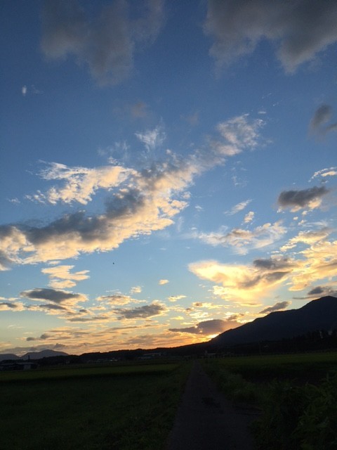 f:id:o-uiri:20210806184734j:plain