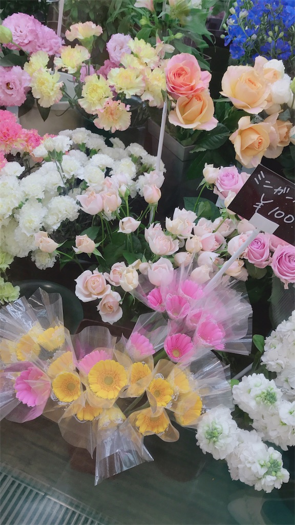 f:id:o0_pono_0o:20190316225952j:image