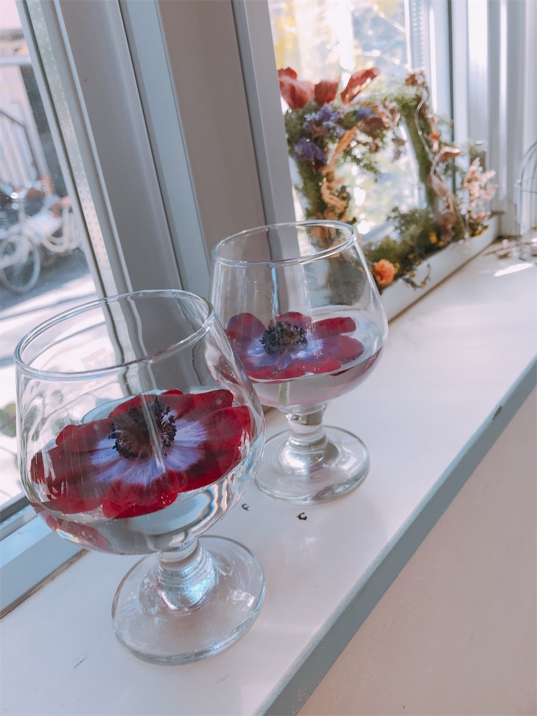 f:id:o0_pono_0o:20190318171238j:image