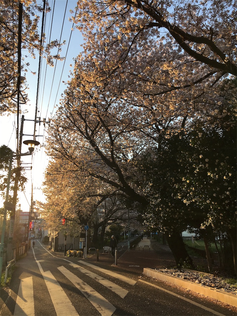 f:id:o0oo0o:20170414205754j:image f:id:o0oo0o:20170414205754j:image