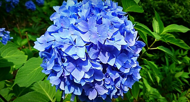 f:id:o10kun:20180614172016j:plain