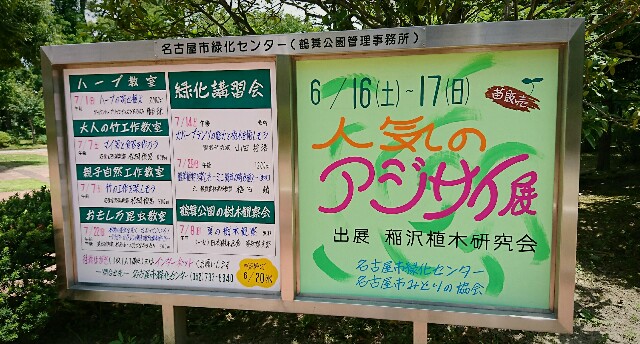 f:id:o10kun:20180614172524j:plain