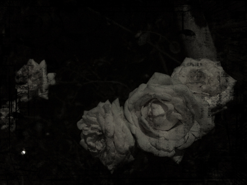 f:id:o19840723:20120727232359j:image:w360