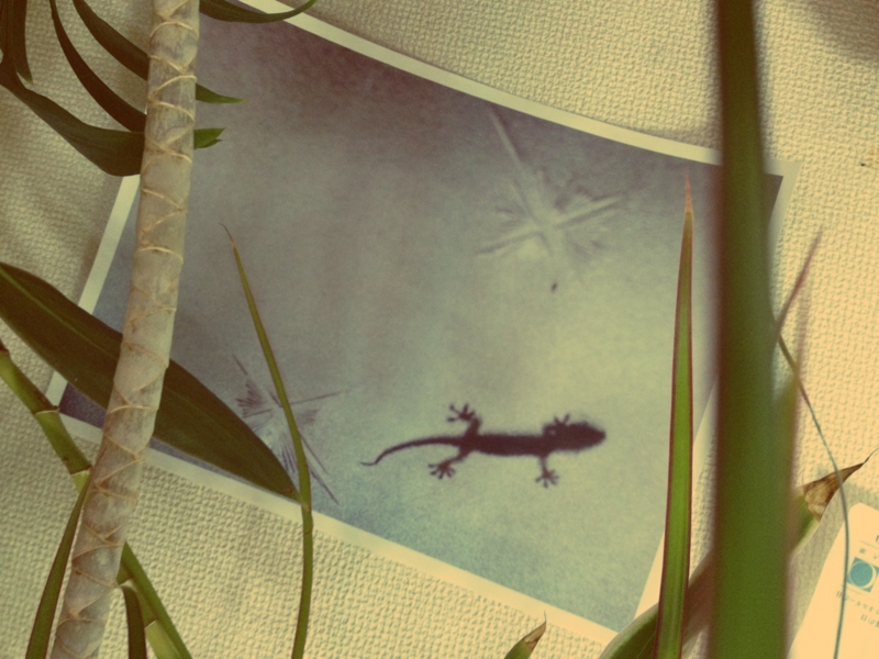 f:id:o19840723:20120730084426j:image