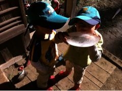 f:id:o2farm:20101212002727j:image
