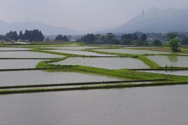 f:id:o2farm:20120518011050j:image:w360 f:id:o2farm:20120518011050j:image:w360
