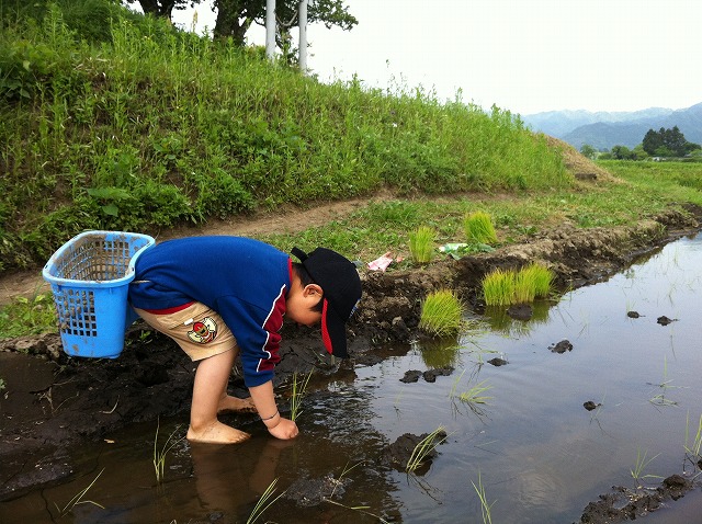 f:id:o2farm:20120518011053j:image:w360 f:id:o2farm:20120518011053j:image:w360