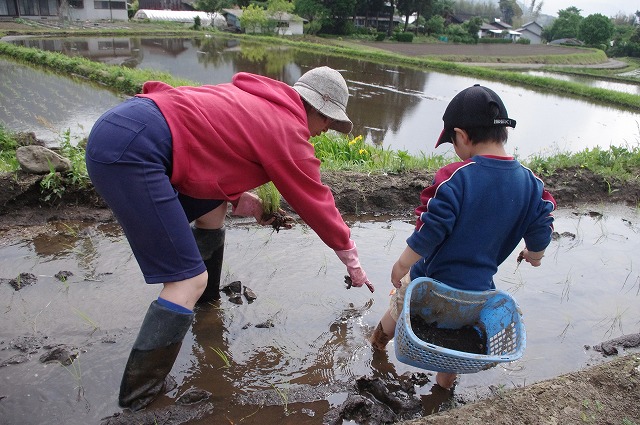 f:id:o2farm:20120518011054j:image:w360 f:id:o2farm:20120518011054j:image:w360