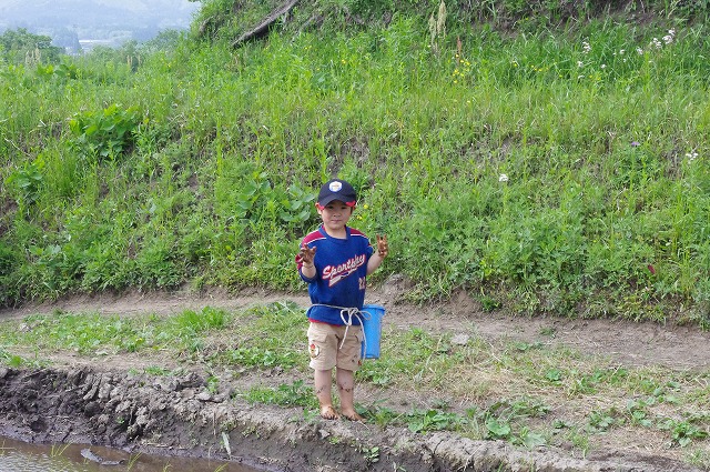 f:id:o2farm:20120518011608j:image:w360 f:id:o2farm:20120518011608j:image:w360
