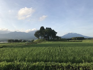f:id:o2farm:20170813012137j:image:w640