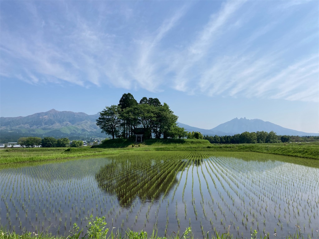 f:id:o2farm:20220601065737j:image