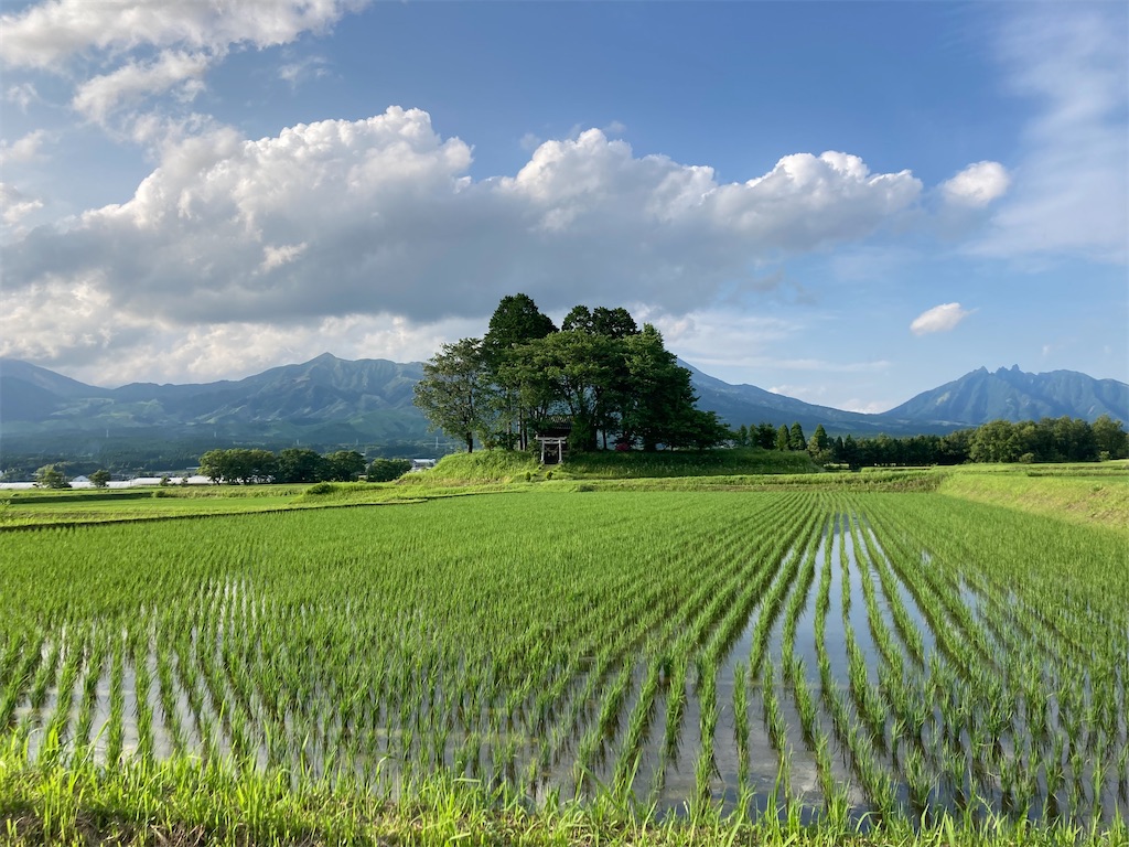 f:id:o2farm:20220618223945j:image