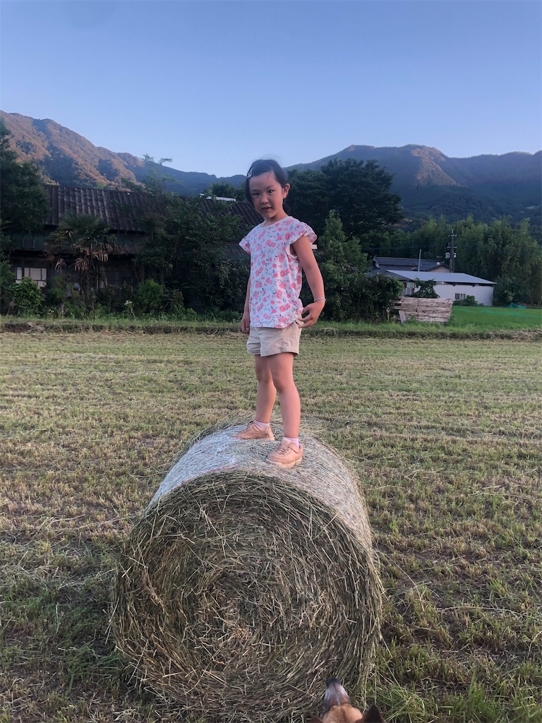 f:id:o2farm:20220704005941j:image