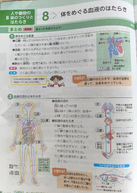 f:id:oHanamaru:20241029123632j:image