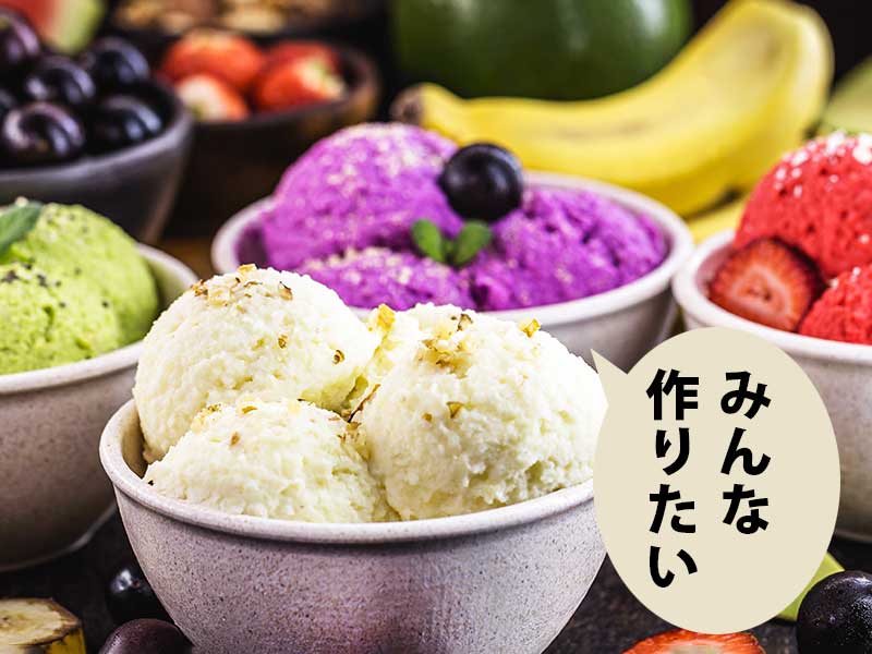 マンゴー　バナナココナッツ バナナチップス＆ソフトマンゴー 500g バナナチップス ソフト