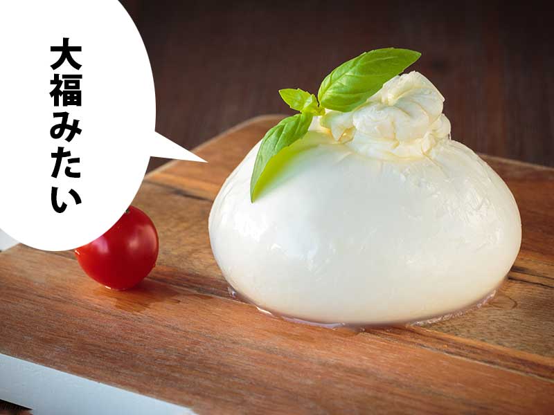 丸いブッラータチーズとプチトマト。吹き出しに『大福みたい』