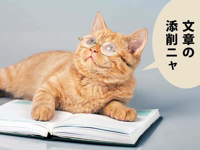 メガネをかけたネコが本の上にいる。吹き出しに「文章の添削ニャ」