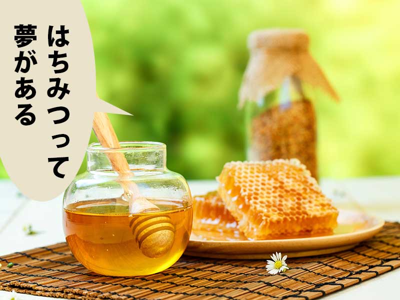 瓶入りはちみつが２つと皿の上の巣蜜。吹き出しに「はちみつって夢がある」