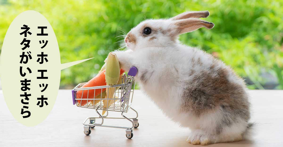 ミニチュアのショッピングカートを押すうさぎ（灰色と白）。吹き出しに「エッホエッホ　ネタがいまさら」
