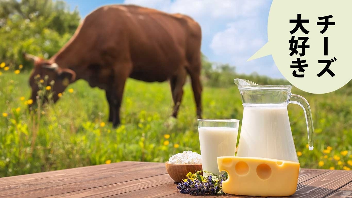 草原で草を食む茶色の牛と机の上にある牛乳とコップ、チーズ。吹き出しに「チーズ大好き」