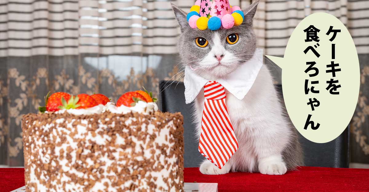 お祝いのいちごケーキの隣にネクタイをつけ帽子をかぶった猫。吹き出しに「ケーキを 食べろにゃん」