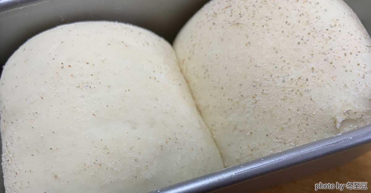 食パン型に入った発酵したパン生地