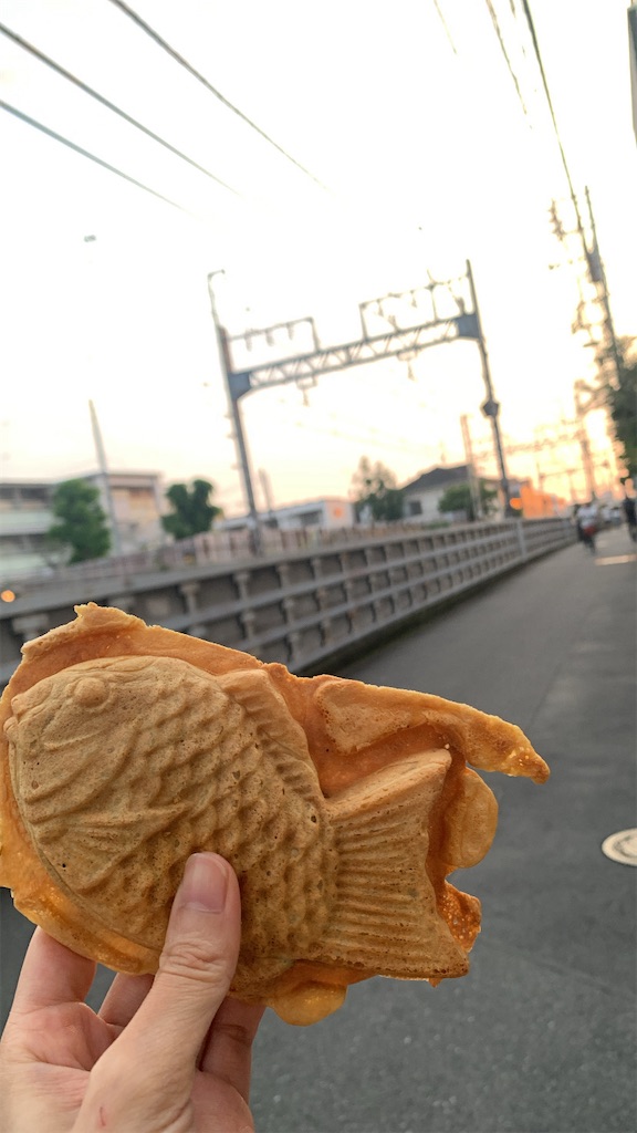 f:id:o__nasu:20240522220439j:image f:id:o__nasu:20240522220439j:image