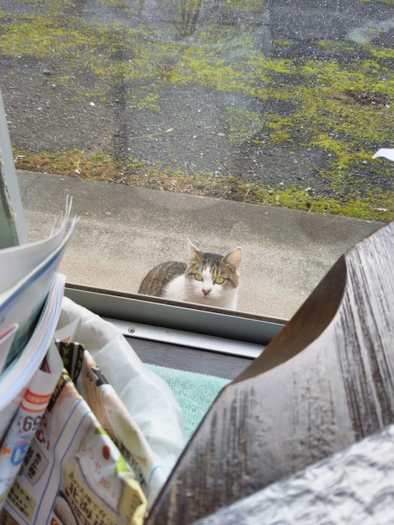 f:id:o_atom23:20170116133931j:plain f:id:o_atom23:20170116133931j:plain