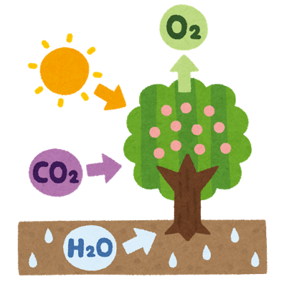 f:id:o_kazumasa:20170419002556p:plain