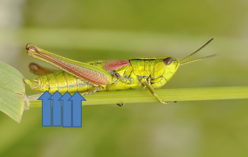 f:id:o_kazumasa:20180319123020p:plain f:id:o_kazumasa:20180319123020p:plain