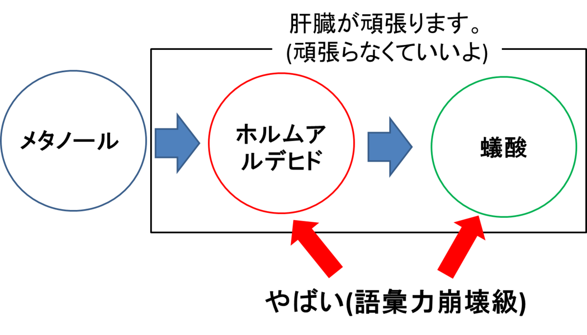 f:id:o_kazumasa:20200316135043p:plain f:id:o_kazumasa:20200316135043p:plain