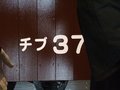 [鉄道][九州鉄道記念館]九州鉄道記念館・客車車番：2008年5月