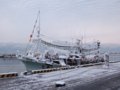 [風景]★246：八戸・湊日曜朝市／八戸港－雪に覆われた漁船081214