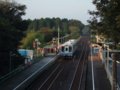 [鉄道][風景][駅]★161：伊勢鉄道・鈴鹿サーキット稲生駅091004／朝６時台からこの人出