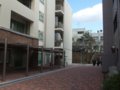 [風景]神戸大学国際文化学部100213