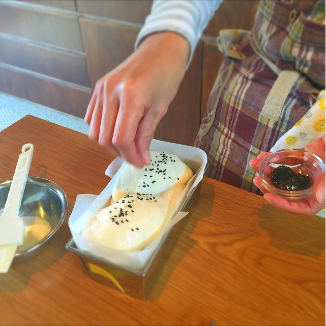 f:id:oakoak:20141117161918j:plain f:id:oakoak:20141117161918j:plain