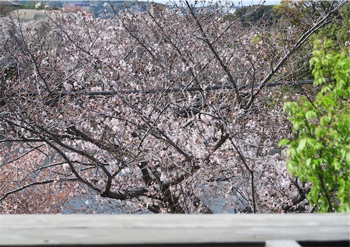 f:id:oakoak:20210322140643j:image