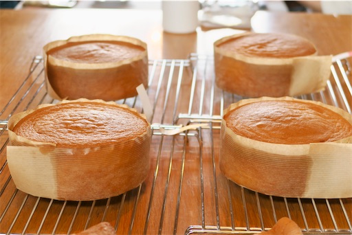 f:id:oakoak:20250119172710j:image f:id:oakoak:20250119172710j:image