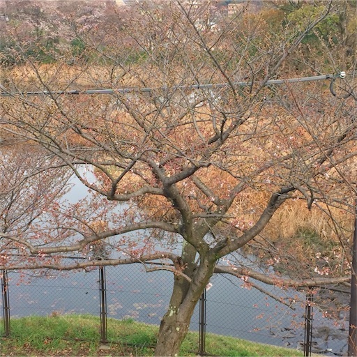 f:id:oakoak:20250331200931j:image f:id:oakoak:20250331200931j:image