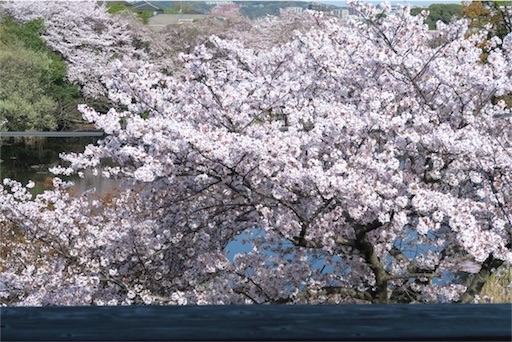 f:id:oakoak:20250331201028j:image f:id:oakoak:20250331201028j:image