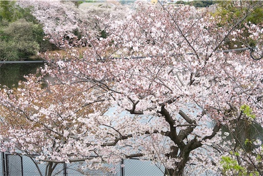 f:id:oakoak:20250331201202j:image f:id:oakoak:20250331201202j:image