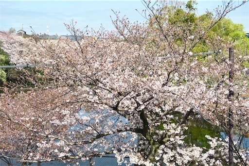 f:id:oakoak:20250331201307j:image f:id:oakoak:20250331201307j:image