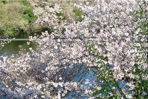 f:id:oakoak:20250331201529j:image f:id:oakoak:20250331201529j:image