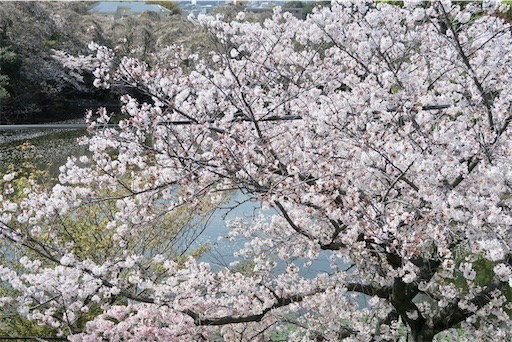 f:id:oakoak:20250331201617j:image f:id:oakoak:20250331201617j:image